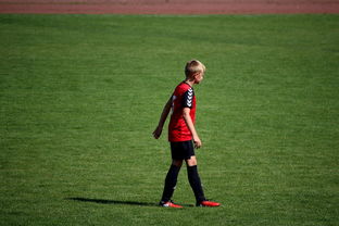 九游游戏中心-世界拳击青年赛中国选手勇夺金腰带，世界拳击表演赛