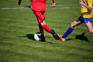 九游游戏中心-世界拳击青年赛中国选手勇夺金腰带,世界拳击表演赛