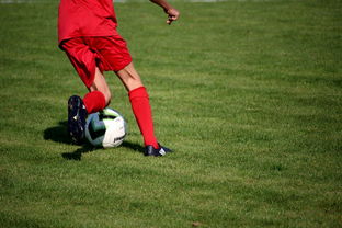 九游官网下载电脑版-中国篮球教练员培训体系现代化改革,中国篮球协会篮球教练员等级