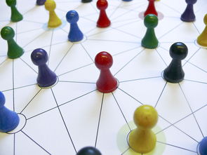 九游游戏中心-中国篮球教练员领导力培养路径，中国篮球协会篮球教练员等级