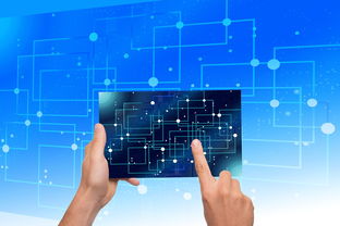 九游游戏中心-中国篮球教练员领导力培养路径,中国篮球协会篮球教练员等级