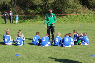 -德甲战术大变：变化迅速，精彩纷呈，德甲赛制介绍