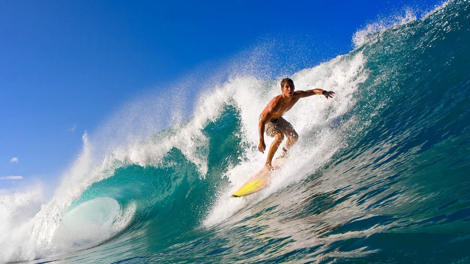 九游-自由泳冲刺波兰展现强劲速度,自由泳冲刺训练