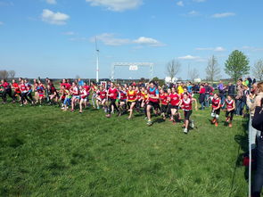 九游sports-中国篮球体教融合中学校体育与专业训练的冲突平衡，体教融合是未来体育人才培养选拔的唯一途径